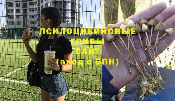 соль курить ск Михайловск