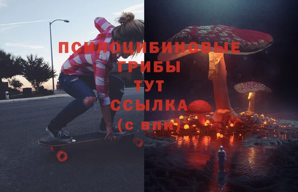 PSILOCYBIN Гусев