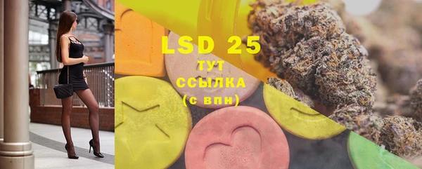 PSILOCYBIN Гусев