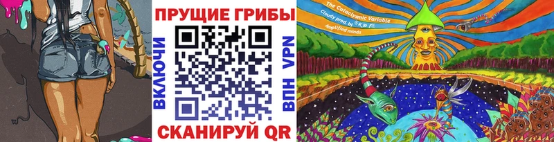 цена наркотик  Кологрив  Псилоцибиновые грибы MAGIC MUSHROOMS 